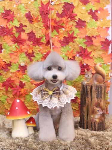 20241119宇宙くん